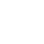 expertise icon