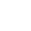 money icon