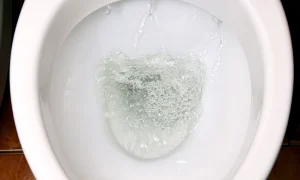 What does it mean if the toilet bubbles