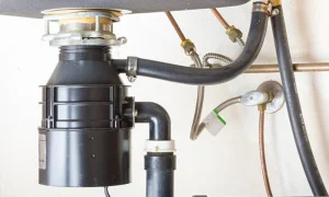 replace garbage disposal