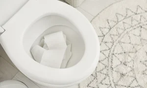 toilet paper clog a sewer line