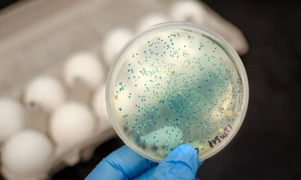 does reverse osmosis remove coliform bacteria